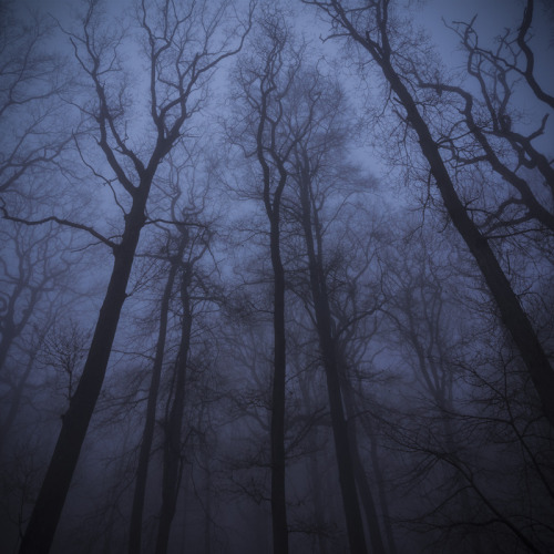 tumblr_nv6z8cUOCo1s2clnyo1_500