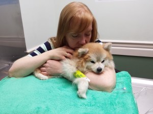 H.L. Stephens, Marmee